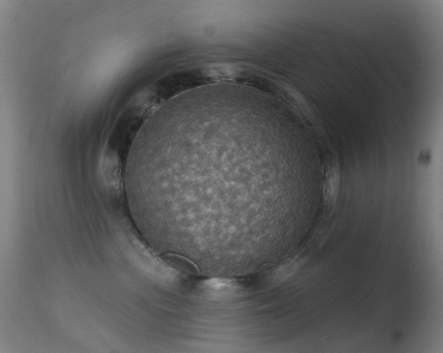 X0000113230477200909171543