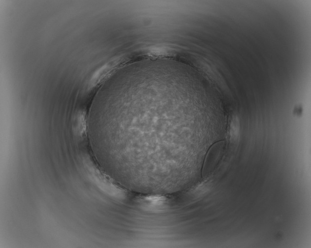 X0000113230478200909171543