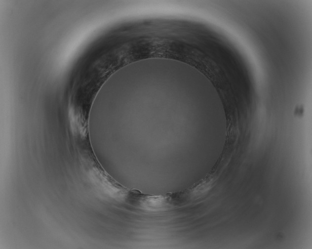 X0000113230479200909171543