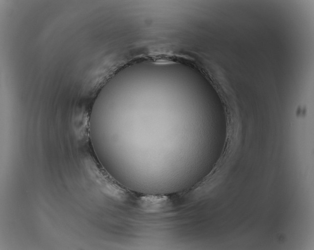 X0000113230480200909171543