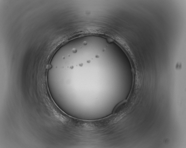 X0000113230481200909171542