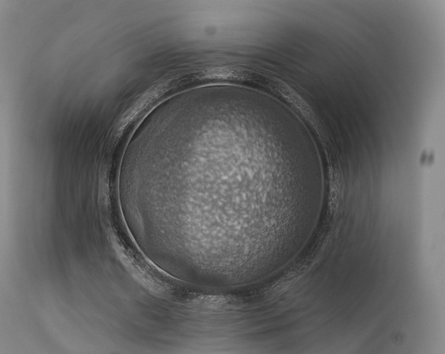 X0000113230482200909171542