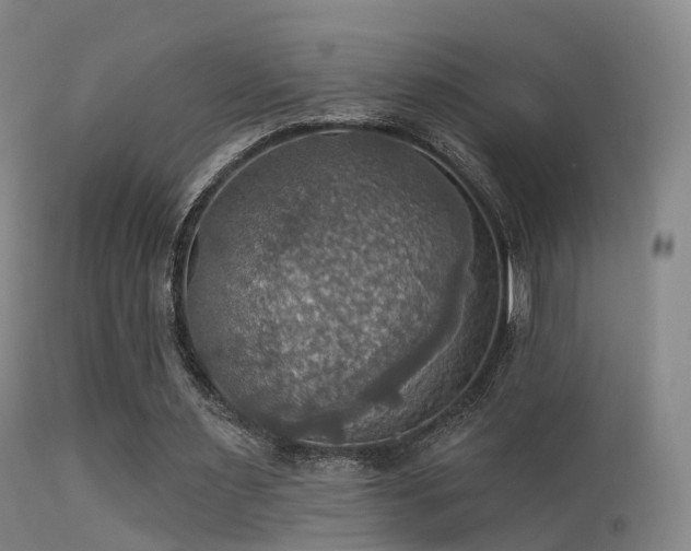 X0000113230483200909171542