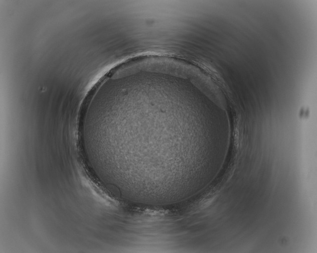 X0000113230484200909171542