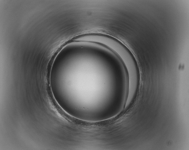 X0000113230485200909171542