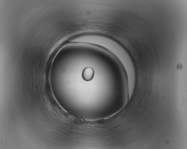 X0000113230488200909171542