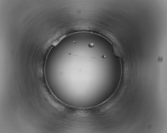 X0000113230489200909171542