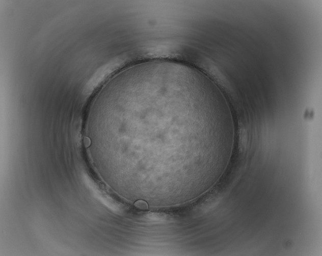 X0000113230490200909171542