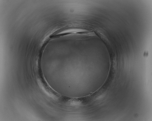 X0000113230491200909171542