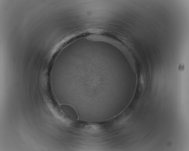 X0000113230492200909171542