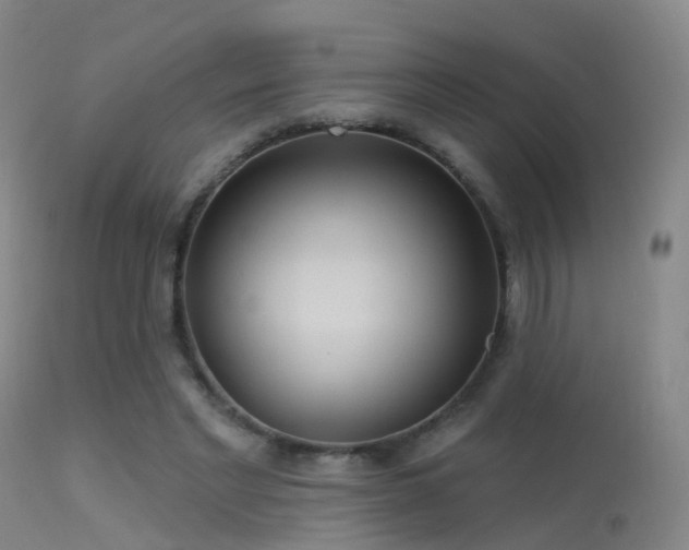 X0000113230493200909171542