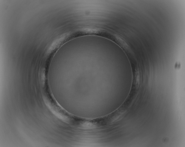 X0000113230494200909171542