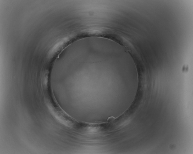 X0000113230495200909171542