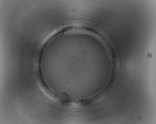 X0000113230496200909171542