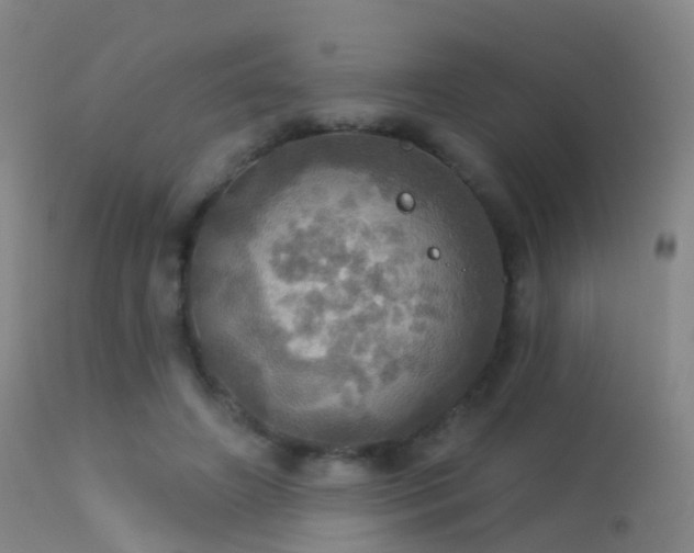 X0000113230498200909171542