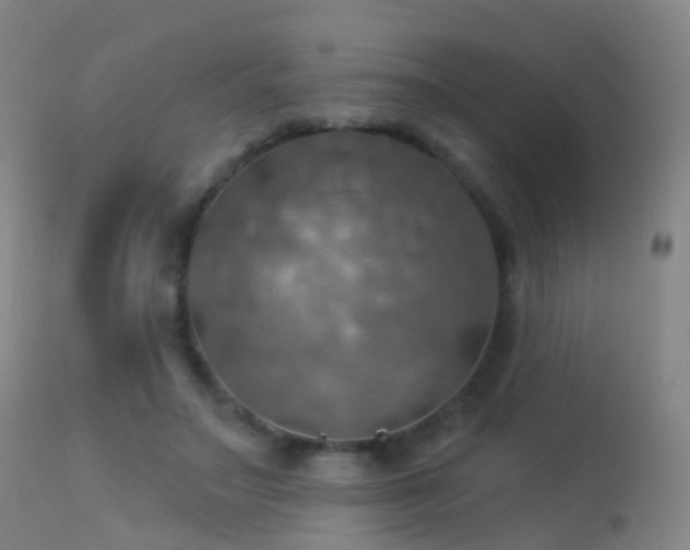 X0000113230499200909171542