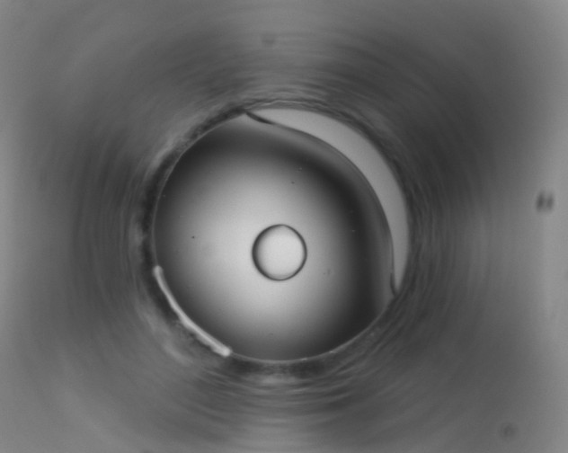 X0000113230500200909171542