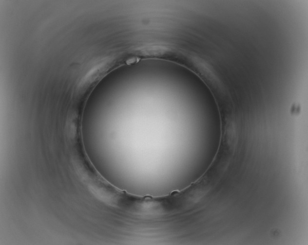 X0000113230501200909171542