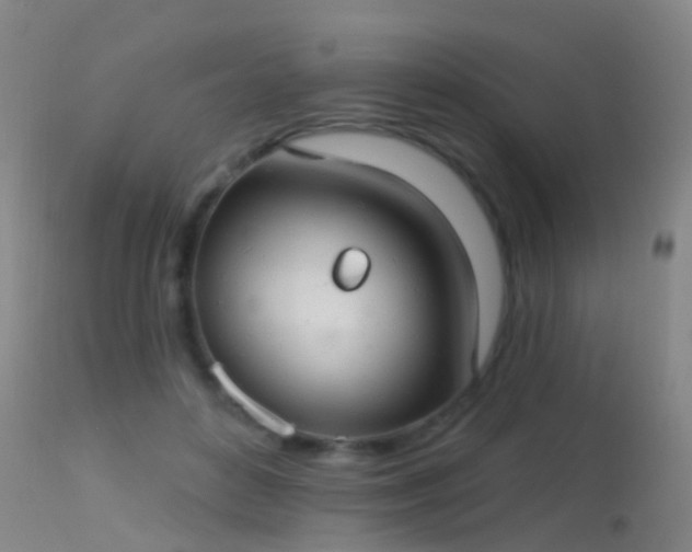 X0000113230504200909171542