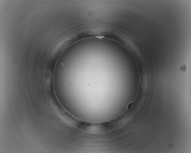 X0000113230505200909171542