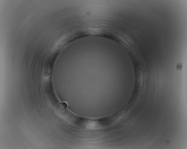 X0000113230507200909171542