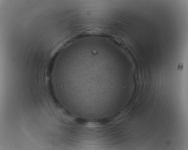 X0000113230508200909171542