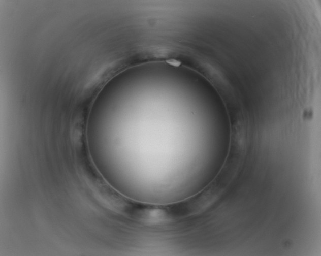 X0000113230509200909171542