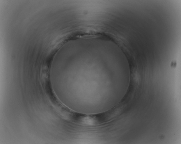 X0000113230511200909171542