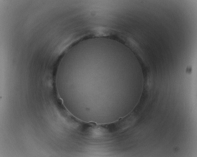 X0000113230512200909171542