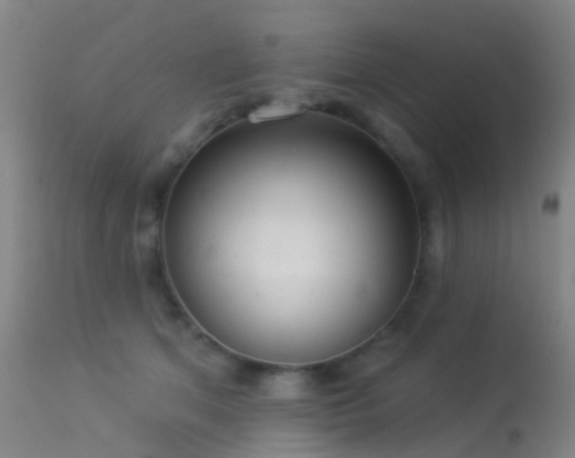 X0000113230513200909171542