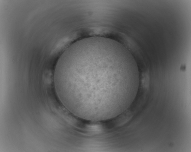 X0000113230514200909171542