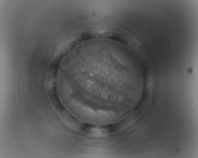 X0000113230515200909171542