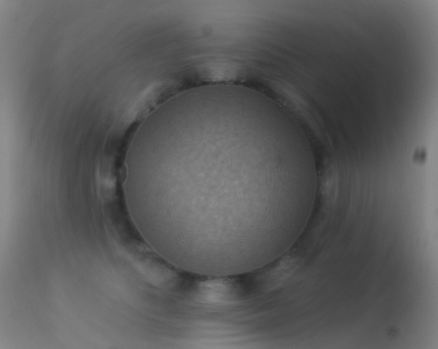 X0000113230516200909171542