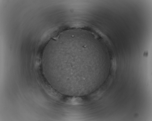 X0000113230517200909171542