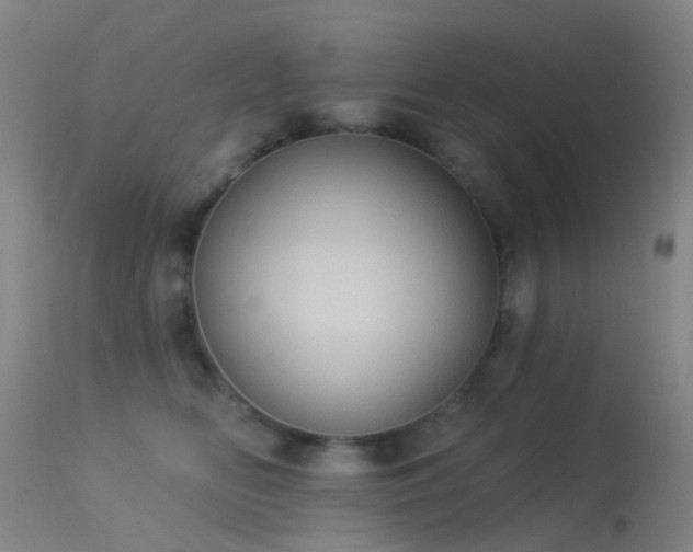 X0000113230518200909171542