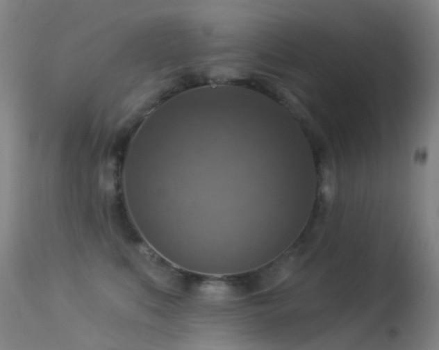 X0000113230519200909171542