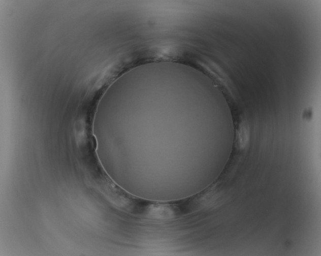 X0000113230520200909171542