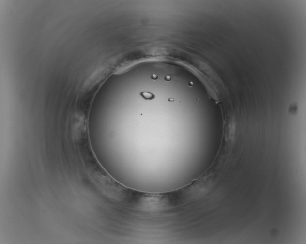 X0000113230521200909171542