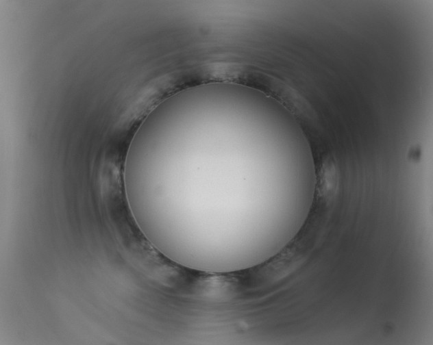 X0000113230522200909171542