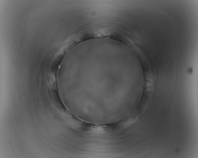 X0000113230523200909171542