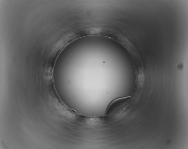 X0000113230525200909171542