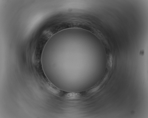 X0000113230526200909171542