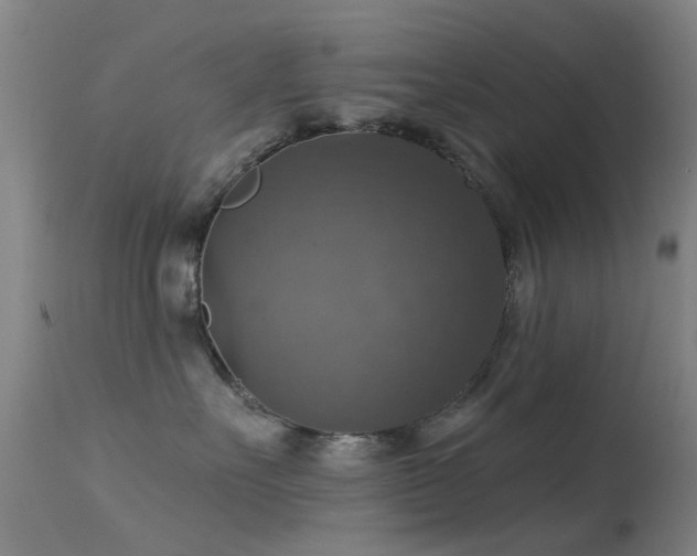 X0000113230527200909171542