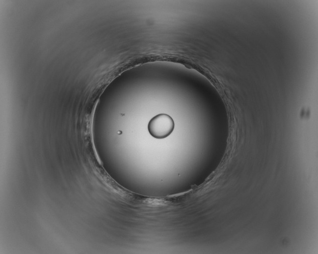 X0000113230528200909171542