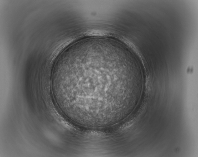 X0000113230529200909171541