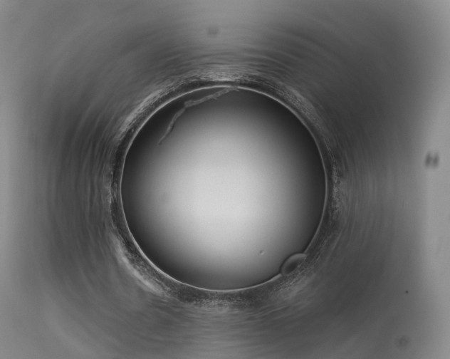 X0000113230530200909171541