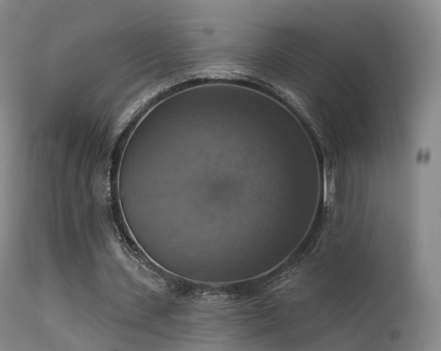 X0000113230531200909171541