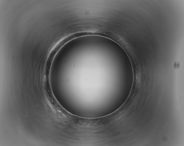 X0000113230532200909171541