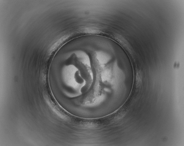 X0000113230533200909171541