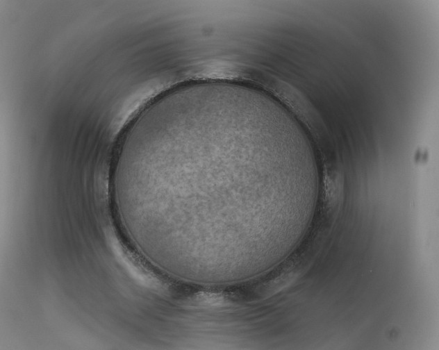 X0000113230534200909171541